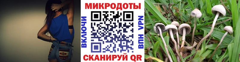 Галлюциногенные грибы MAGIC MUSHROOMS  Велиж 
